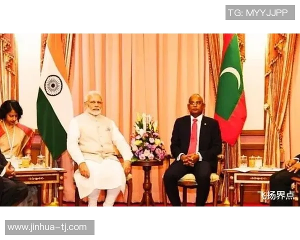 阿联酋与印度的精彩对决结果揭晓谁是最终赢家