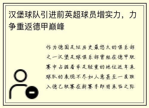 汉堡球队引进前英超球员增实力，力争重返德甲巅峰